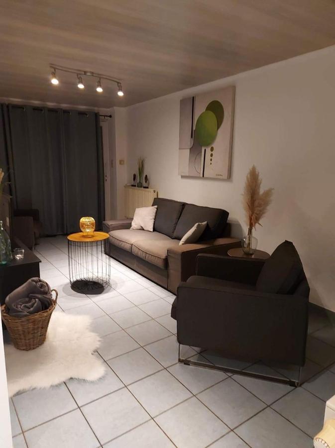Appartement Rdc Plein Centre Avec Terrasse Vise Exterior photo